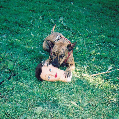 Joyce Manor: Cody (Vinyl LP)