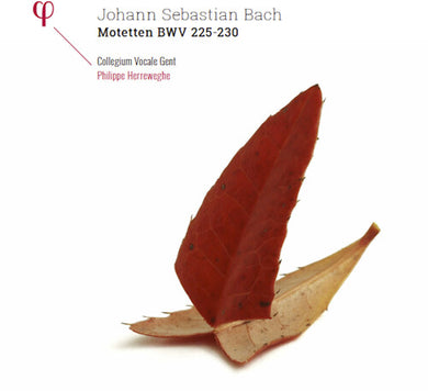 Bach, J.S. / Collegium Vocale Gent / Herreweghe: Johann Sebastian Bach: Motetten BWV 225-230 (Vinyl LP)