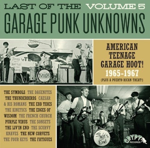 Last of the Garage Punk Unknowns 5 / Various: Last Of The Garage Punk Unknowns 5 (Various Artists) (Vinyl LP)