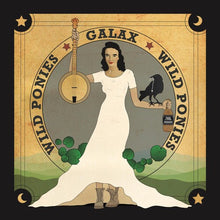 Wild Ponies: Galax (Vinyl LP)