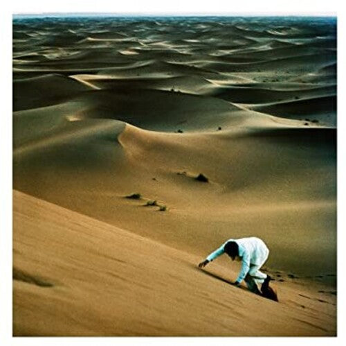 Dury, Baxter: Prince Of Tears (Vinyl LP)