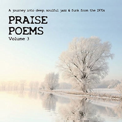 Various Artists: Praise Poems Vol 3 / Various (Vinyl LP)