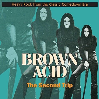Brown Acid: Second Trip / Various: Brown Acid: Second Trip (Various Artists) (Vinyl LP)