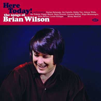 Here Today! Songs of Brian Wilson / Various: Here Today! Songs Of Brian Wilson / Various (Vinyl LP)