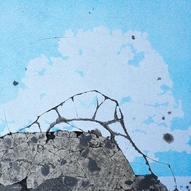 Brrwd Love 1 / Various: Brrwd Love 1 (Various Artists) (12-Inch Single)