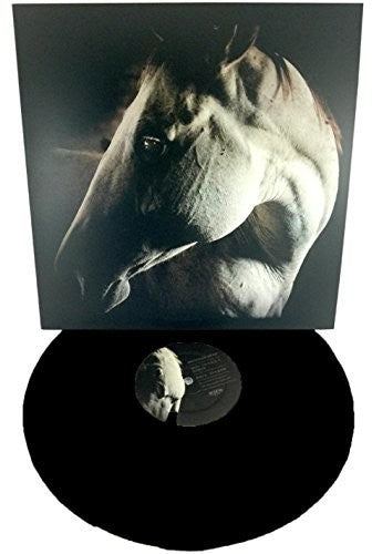 Brother Dege: How to Kill a Horse (Vinyl LP)