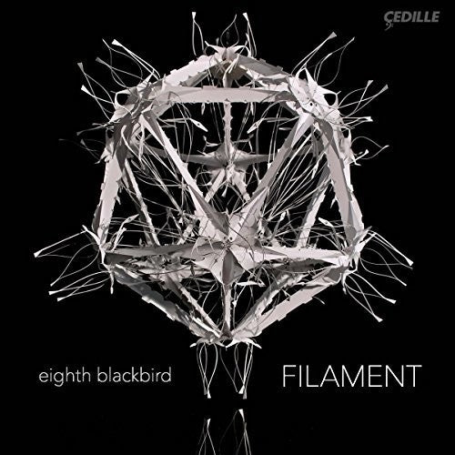 Dessner / Eighth Blackbird: Filament (Vinyl LP)