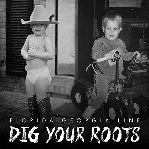 Florida Georgia Line: Dig Your Roots (Vinyl LP)