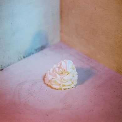 All Boy/All Girl: Slagroom (Vinyl LP)
