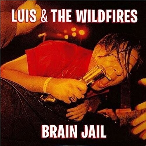 Various Artists: Golden Groups: Best Of Norton Records 2 / Various (Vinyl LP)