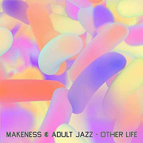 Makeness & Adult Jazz: Other Life (12-Inch Single)