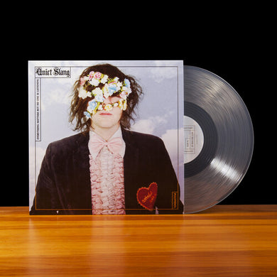 Beach Slang: Everything Matters But No One Is Listening [Quiet Slang] (Vinyl LP)