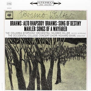 Bruno Walter: BRAHMS: ALTO RHAPSODY / SONG OF DESTINY & MAHLER - SONGS OF A WAYFARER(180 GRAM) (Vinyl LP)