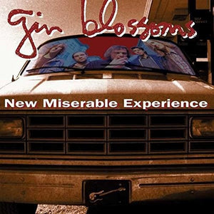 Gin Blossoms: New Miserable Experience (Vinyl LP)