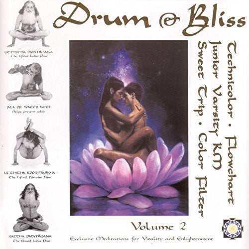 Drum & Bliss 2 / Various: Drum & Bliss 2 (Various Artists) (Vinyl LP)
