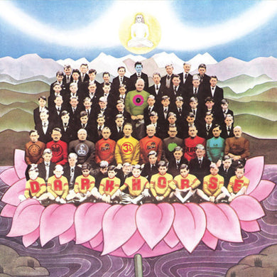 George Harrison: Dark Horse (Vinyl LP)