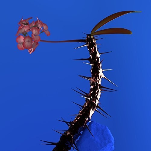 Flume: Skin Companion EP II (12-Inch Single)