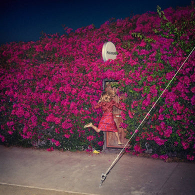 Feist: Pleasure (Vinyl LP)
