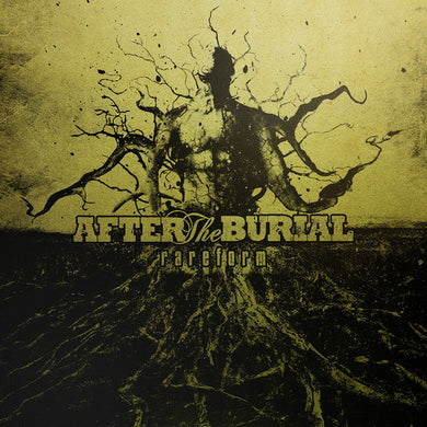 After the Burial: Rareform (10 Year) (Vinyl LP)