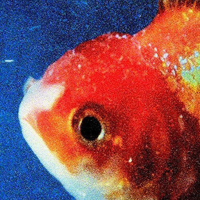Staples, Vince: Big Fish Theory (Vinyl LP)