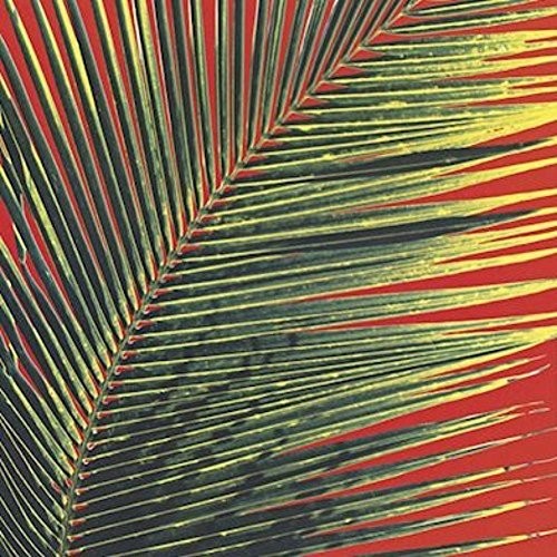 Poolside: Contact High (12-Inch Single)