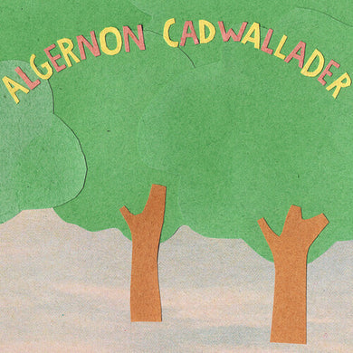Algernon Cadwallader: Some Kind Of Cadwallader (Vinyl LP)