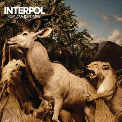 Interpol: Our Love To Admire (Vinyl LP)