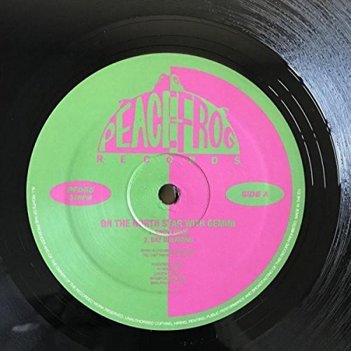 Gemini: On The North Star With Gemini (12-Inch Single)