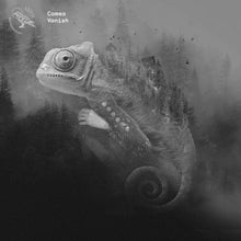Camea: Vanish (12-Inch Single)