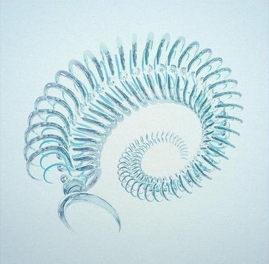 Austin Wintory: flOw (Original Soundtrack) (Vinyl LP)