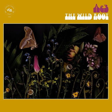 Ae3 (Alan Evans Trio): The Wild Root (Vinyl LP)