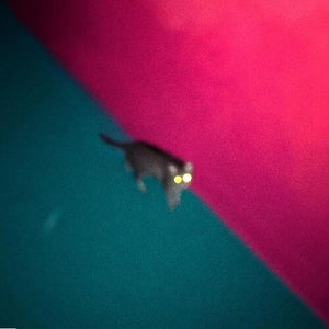 !!!: Wallop (Vinyl LP)