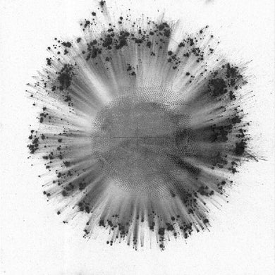 Trentemoller: Obverse (Vinyl LP)