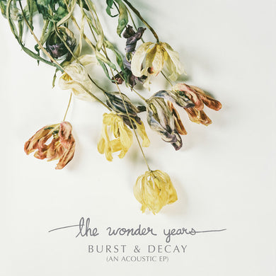 Wonder Years: Burst & Decay (Vinyl LP)