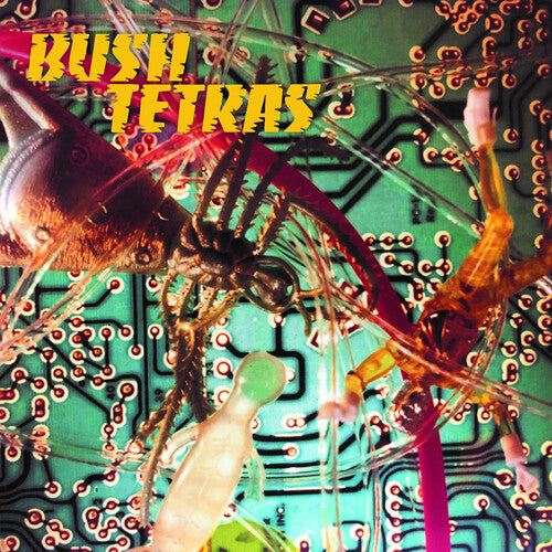 Bush Tertas: There Is A Hum / Seven Years (7-Inch Single)