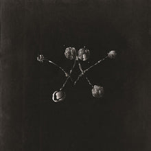 Waterstrider: Nowhere Now (Vinyl LP)