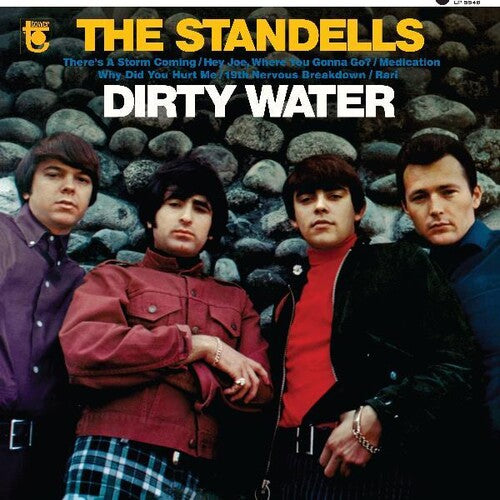The Standells: Dirty Water (Vinyl LP)