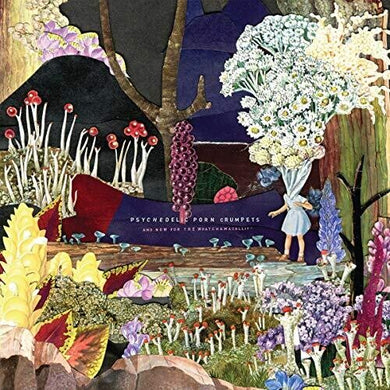 Psychedelic Porn Crumpets: And Now For The Whatchamacallit (Vinyl LP)