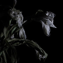 Cavernlight: As We Cup Our Hands & Drink From The Stream Of Our (Vinyl LP)