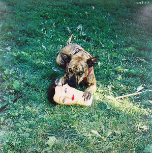 Joyce Manor: Cody (Vinyl LP)