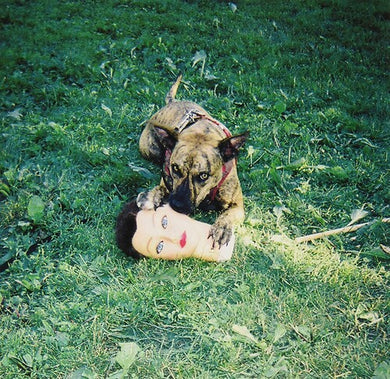 Joyce Manor: Cody (Vinyl LP)