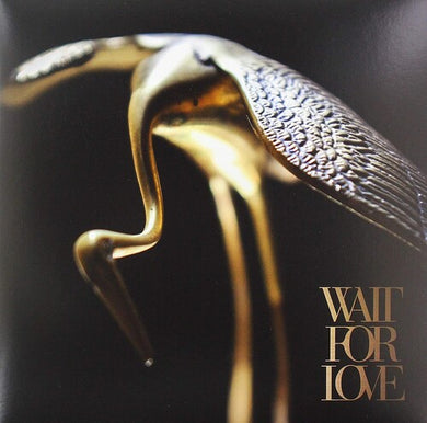 Pianos Become the Teeth: Wait For Love (Vinyl LP)
