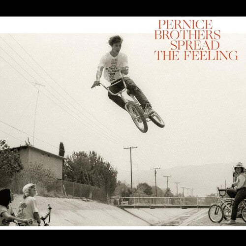 Pernice Brothers: Spread The Feeling (Vinyl LP)
