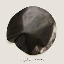 Sontag Shogun & Moskitoo: The Things We Let Fall Apart / The Thunderswan (7-Inch Single)