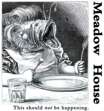 Meadow House: This Should Not Be Happening (Vinyl LP)