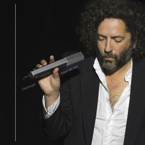 Destroyer: Have We Met (Vinyl LP)
