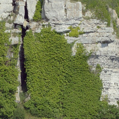 Kimberlin / O.S.T.: Kimberlin (Original Soundtrack) (Vinyl LP)