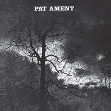 Ament, Pat: Songs (Vinyl LP)