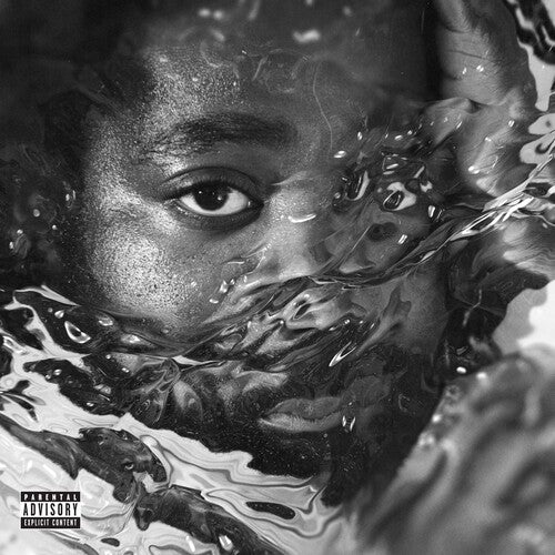 R.Lum.R: Surfacing (Vinyl LP)