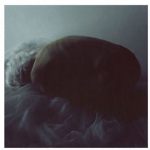 Hinode: Magnetic Field (12-Inch Single)